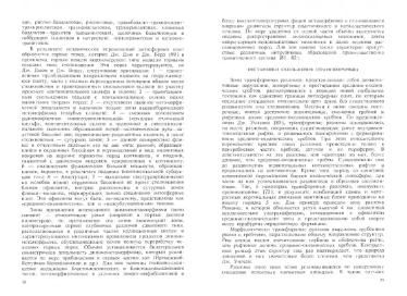 Файл:Tekton uslovnye.djvu