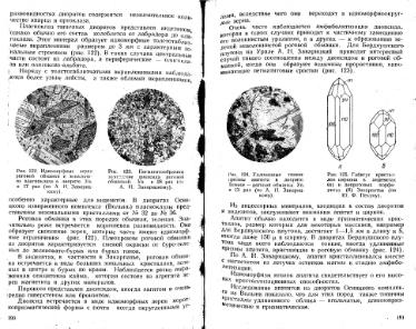 Файл:Lazarenko genetic mineralogy all book.djvu
