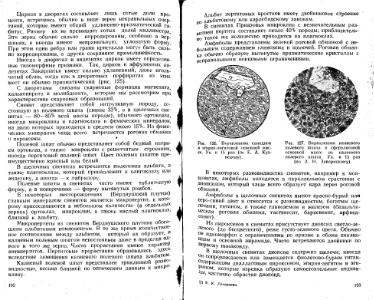 Файл:Lazarenko genetic mineralogy all book.djvu