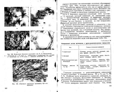 Файл:Lazarenko genetic mineralogy all book.djvu