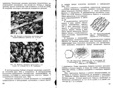 Файл:Lazarenko genetic mineralogy all book.djvu