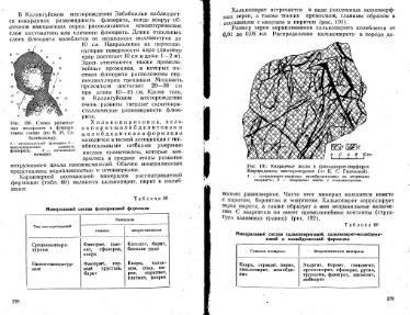Файл:Lazarenko genetic mineralogy all book.djvu