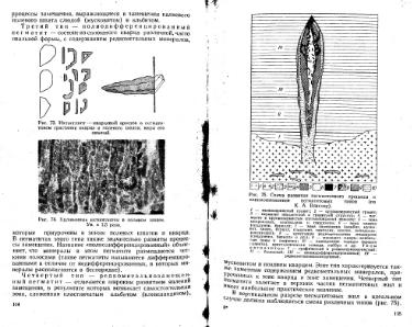 Файл:Lazarenko genetic mineralogy all book.djvu