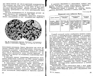 Файл:Lazarenko genetic mineralogy all book.djvu
