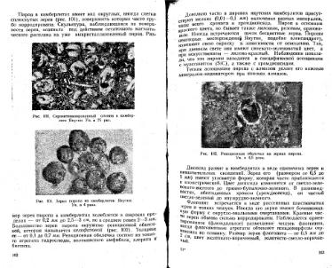 Файл:Lazarenko genetic mineralogy all book.djvu