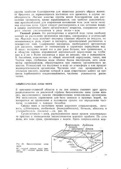 Файл:Nemkov.1986.djvu