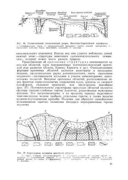 Файл:Nemkov.1986.djvu
