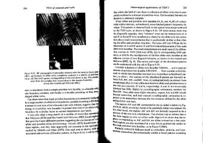 Файл:Transmission-electron microscopy of rocks and-minerals McLaren all book.djvu