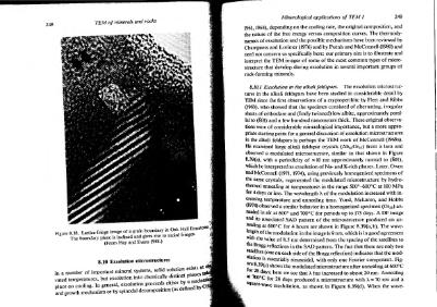 Файл:Transmission-electron microscopy of rocks and-minerals McLaren all book.djvu