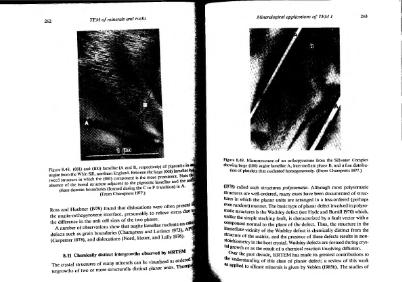 Файл:Transmission-electron microscopy of rocks and-minerals McLaren all book.djvu