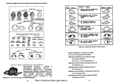 Файл:Paleontology full programme for burning deposites MSU.djvu