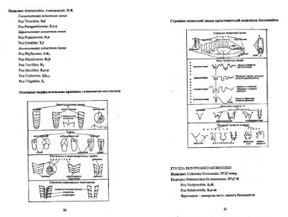 Файл:Paleontology full programme for burning deposites MSU.djvu