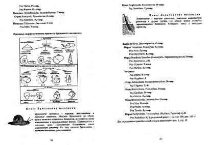 Файл:Paleontology full programme for burning deposites MSU.djvu