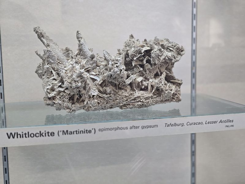 Файл:20251213 150126 - Copy.jpg