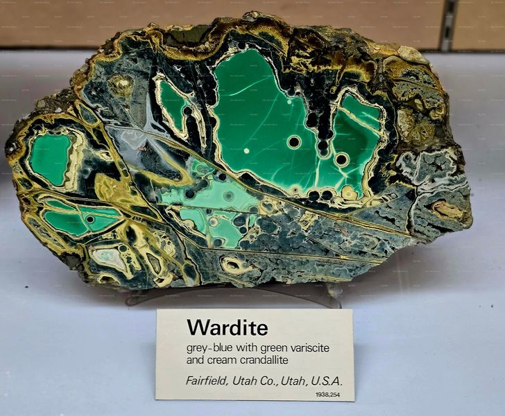 Файл:20251213 150120.jpg