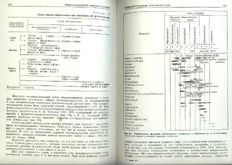 Файл:Genetic mineralogy Barabamov L Nedra 1977 All book.djvu