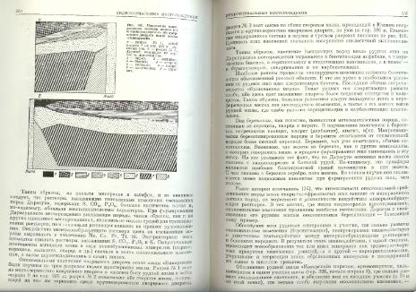 Файл:Genetic mineralogy Barabamov L Nedra 1977 All book.djvu