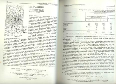 Файл:Genetic mineralogy Barabamov L Nedra 1977 All book.djvu