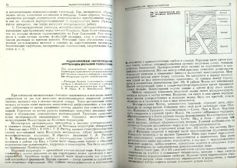 Файл:Genetic mineralogy Barabamov L Nedra 1977 All book.djvu