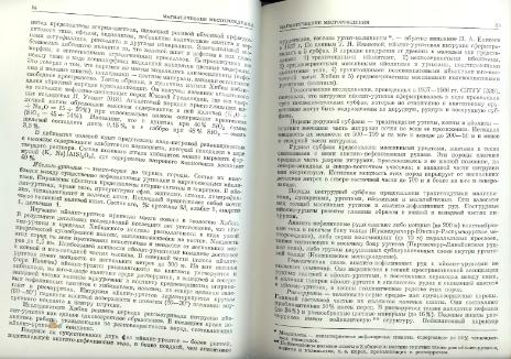 Файл:Genetic mineralogy Barabamov L Nedra 1977 All book.djvu
