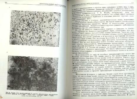 Файл:Genetic mineralogy Barabamov L Nedra 1977 All book.djvu