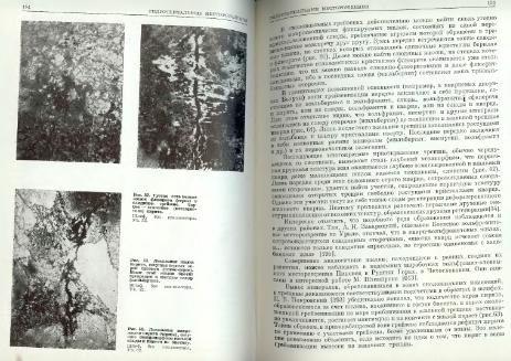 Файл:Genetic mineralogy Barabamov L Nedra 1977 All book.djvu