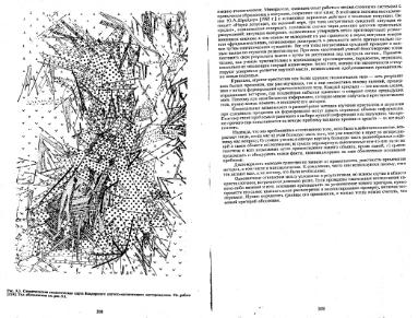 Файл:Genesis of mineral individs all book.djvu