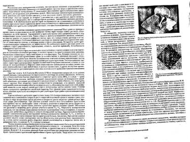 Файл:Genesis of mineral individs all book.djvu