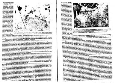 Файл:Genesis of mineral individs all book.djvu