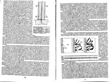Файл:Genesis of mineral individs all book.djvu