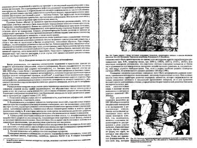 Файл:Genesis of mineral individs all book.djvu