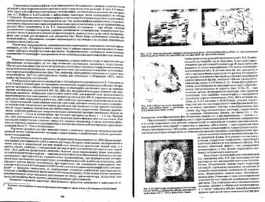 Файл:Genesis of mineral individs all book.djvu