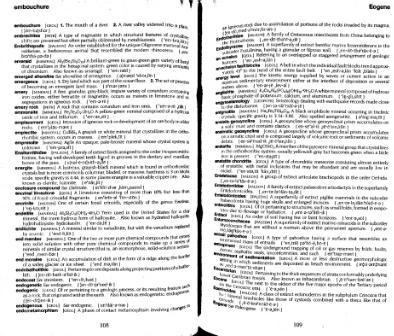 Файл:English-english dictionary Mineralogy and geology.djvu