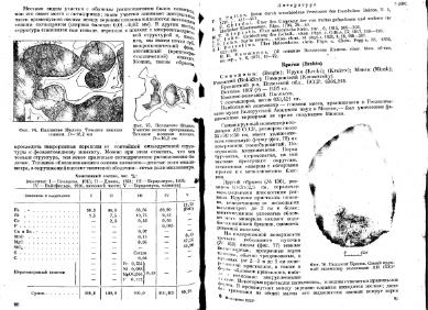 Файл:Meteority USSR.djvu