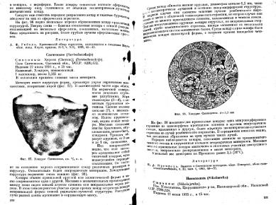 Файл:Meteority USSR.djvu