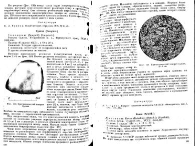 Файл:Meteority USSR.djvu