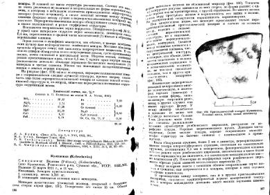 Файл:Meteority USSR.djvu