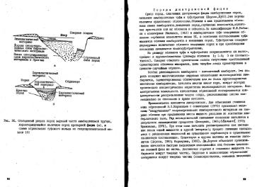 Файл:Garanin vvedenie v mineralogiyou almaznikh mestorogdeniy 1989.djvu