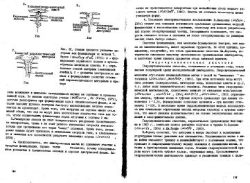 Файл:Garanin vvedenie v mineralogiyou almaznikh mestorogdeniy 1989.djvu