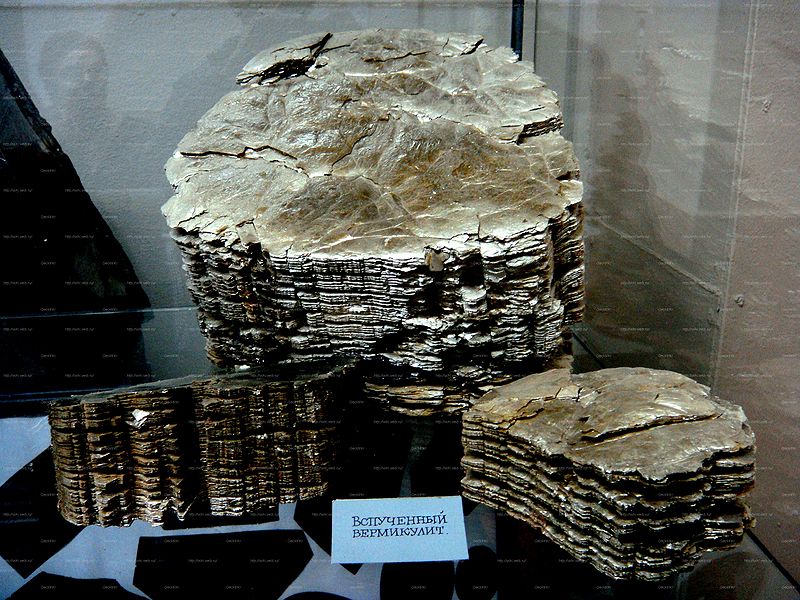 Файл:Vermiculite td kovdormuseum.jpg