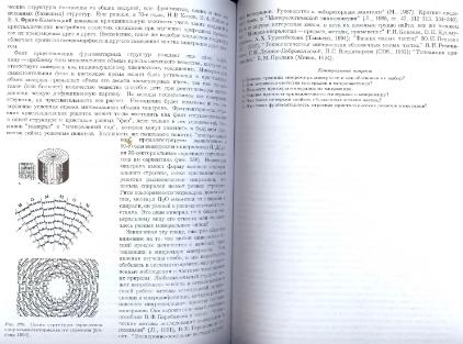 Файл:General mineralogy Bulakh 2004 Peterburg All book.djvu