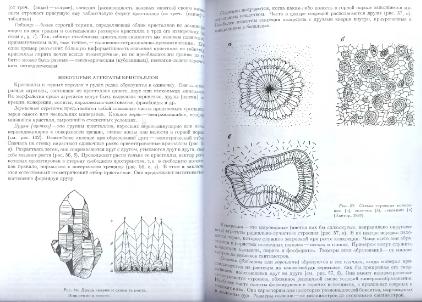 Файл:General mineralogy Bulakh 2004 Peterburg All book.djvu