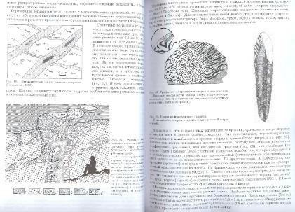 Файл:General mineralogy Bulakh 2004 Peterburg All book.djvu