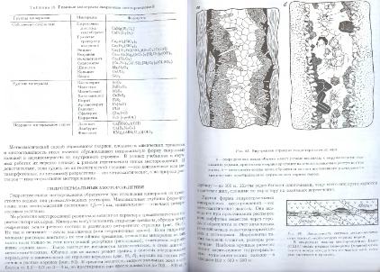 Файл:General mineralogy Bulakh 2004 Peterburg All book.djvu
