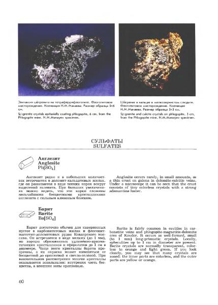 Файл:Minerals of Kovdor.djvu