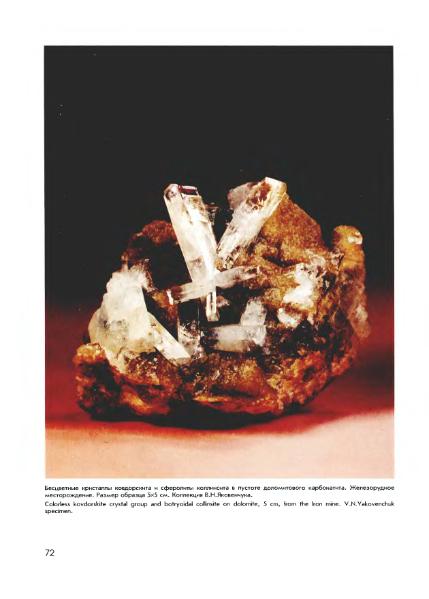 Файл:Minerals of Kovdor.djvu