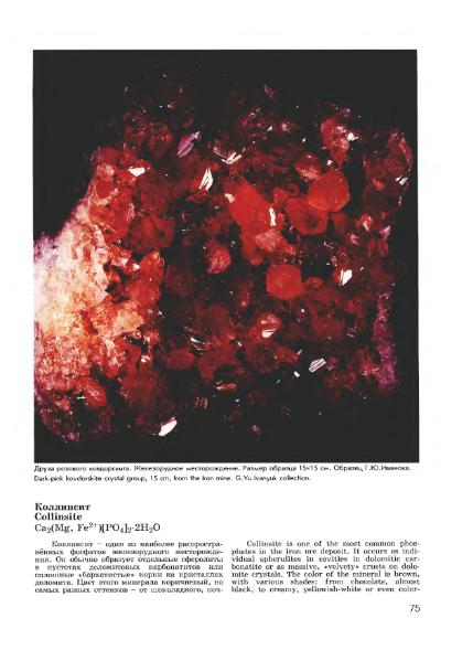 Файл:Minerals of Kovdor.djvu