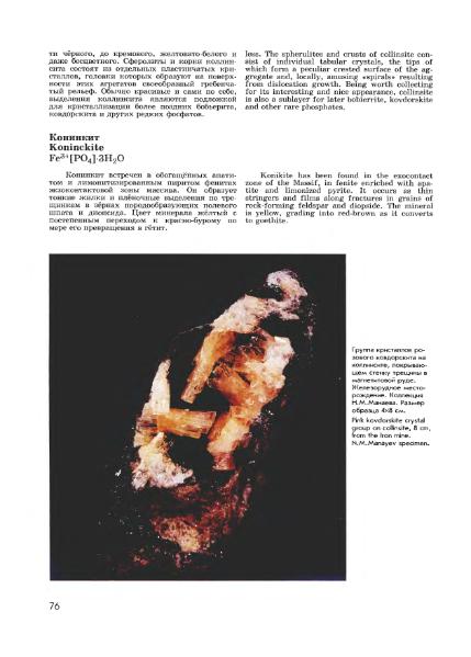 Файл:Minerals of Kovdor.djvu