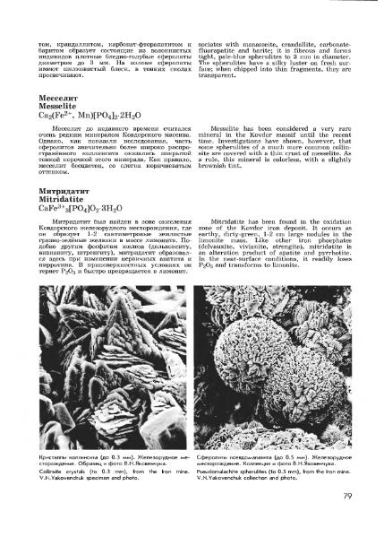 Файл:Minerals of Kovdor.djvu
