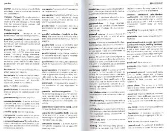 Файл:Dictionary of geology English definishions.djvu